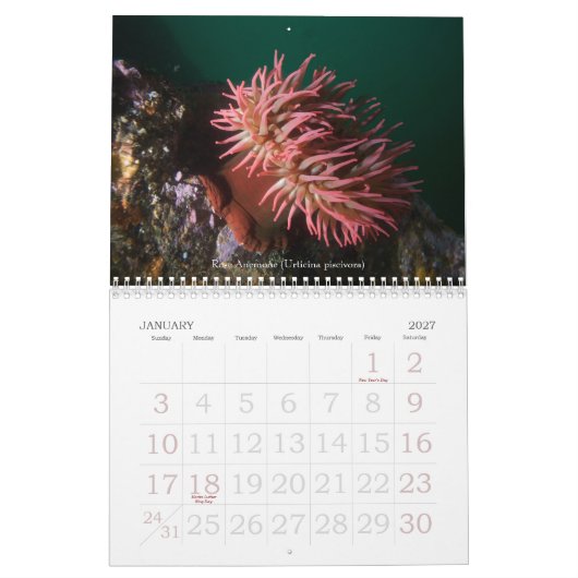 Unterwasserreisen 2008 kalender (Jan 2027)