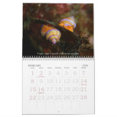 Unterwasserreisen 2008 kalender (Feb 2026)