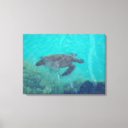 Unterwasserschildkröte Kiholo Bay Hawaii Leinwand (Vorderseite)