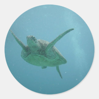 Unterwasserschildkröte Runder Aufkleber