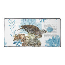Unterwasserschildkröte