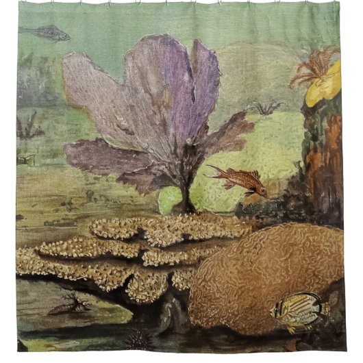 Unterwassersee Duschvorhang (Vorderseite)