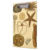 Unterwasserseegeschöpfe Klemmbrett (Links)