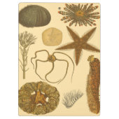 Unterwasserseegeschöpfe Klemmbrett (Rückseite)