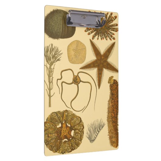 Unterwasserseegeschöpfe Klemmbrett (Rechts)