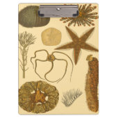 Unterwasserseegeschöpfe Klemmbrett (Vorderseite)