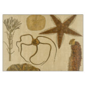 Unterwasserseegeschöpfe Schneidebrett (Vorderseite)