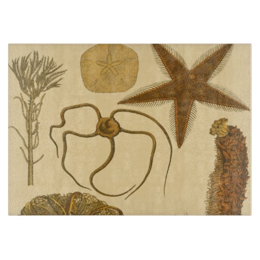 Unterwasserseegeschöpfe Schneidebrett (Vorderseite)