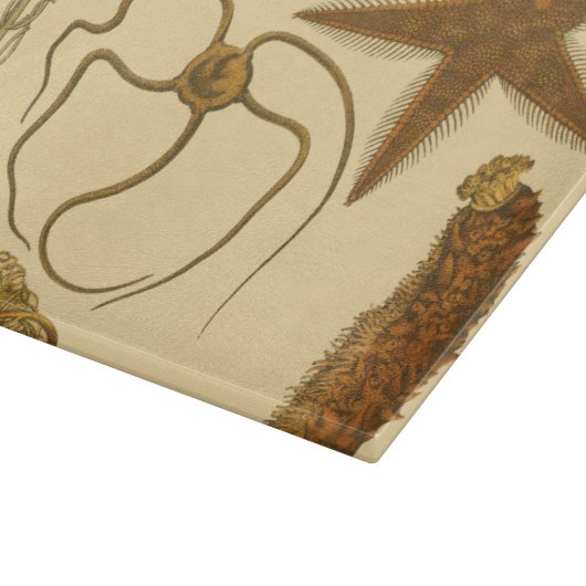 Unterwasserseegeschöpfe Schneidebrett (Ecke)