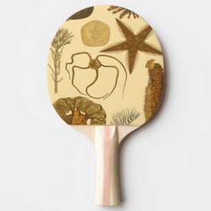 Unterwasserseegeschöpfe Tischtennis Schläger