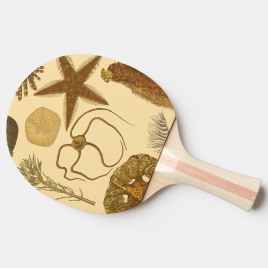 Unterwasserseegeschöpfe Tischtennis Schläger (Seitenansicht)
