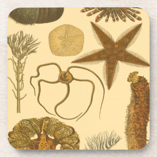 Unterwasserseegeschöpfe Untersetzer