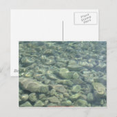 Unterwassersteine Postkarte (Vorne/Hinten)