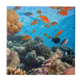 Unterwasserszene Fliese (Vorderseite)