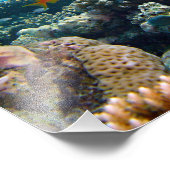 Unterwasserszene Fotodruck (Ecke)