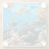 Unterwasserszene Glasuntersetzer (Rückseite)