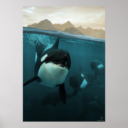Unterwasserszene mit Orca-Familie Poster (Vorne)