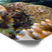 Unterwasserszene Poster (Ecke)