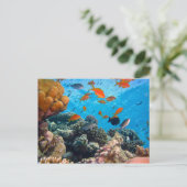 Unterwasserszene Postkarte (Stehend Vorderseite)
