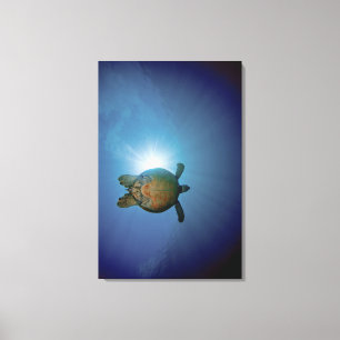 UnterwasserTurtle Andaman Meer, Thailand Leinwanddruck