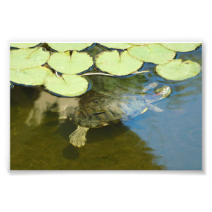 Unterwasserübung Fotodruck