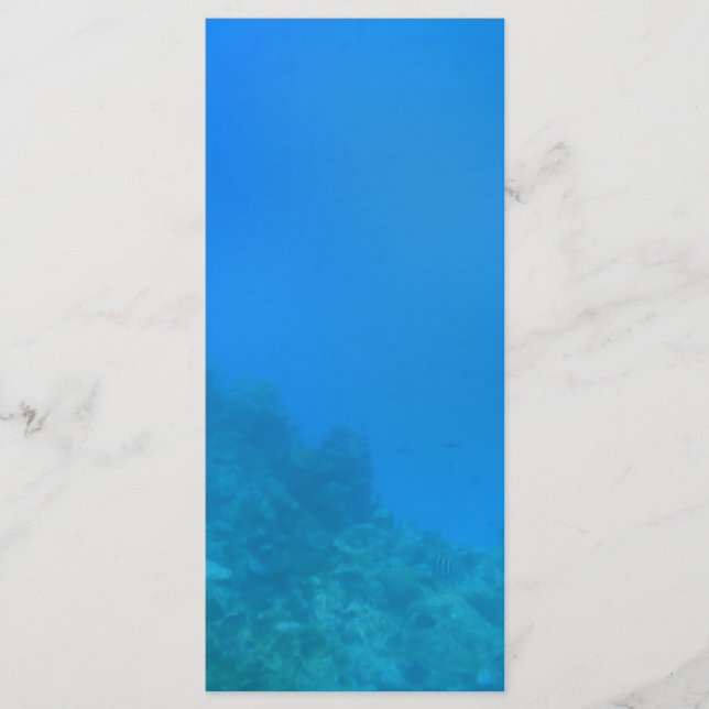 Unterwasserwelt (Vorderseite)