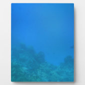 Unterwasserwelt Fotoplatte (Vorderseite)