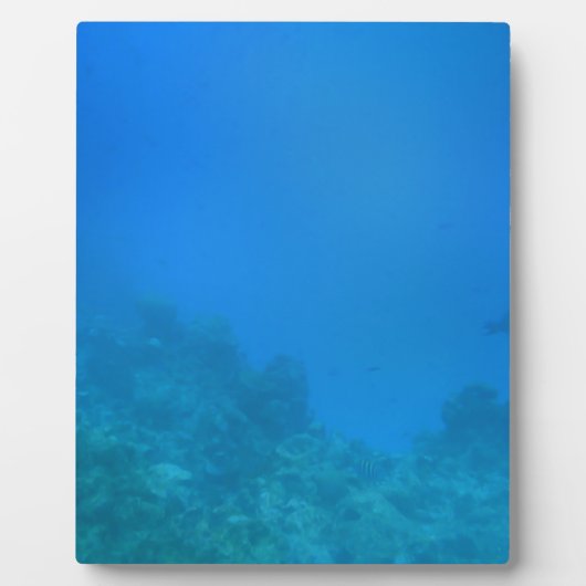 Unterwasserwelt Fotoplatte (Vorderseite)