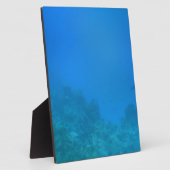 Unterwasserwelt Fotoplatte (Seite)