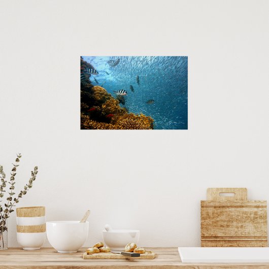 Unterwasserwelt Poster (Küche)