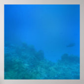 Unterwasserwelt Poster (Vorne)