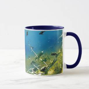 Unterwasserwrack Tasse