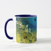 Unterwasserwrack Tasse (Links)
