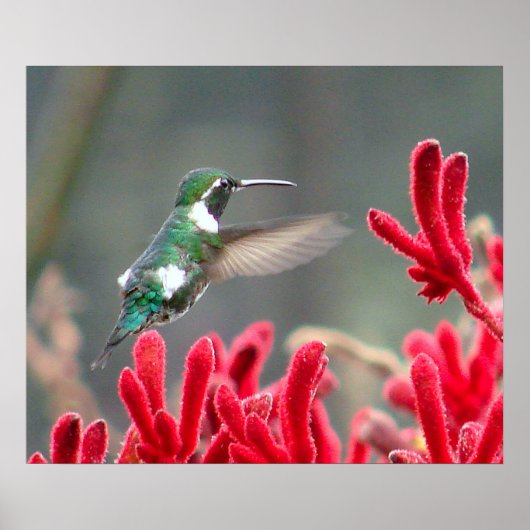 Unterwegs Poster (Vorne)