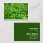 Unterwuchs, Mini-Foto Visitenkarte (Vorne/Hinten)