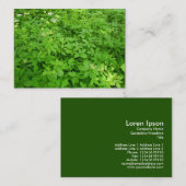 Unterwuchs, Mini-Foto Visitenkarte (Vorne/Hinten)