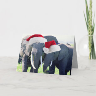 Unvergessliche Weihnachten