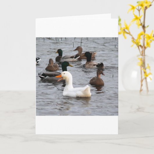 Unverschämte Ente Karte (Gelbe Blume)