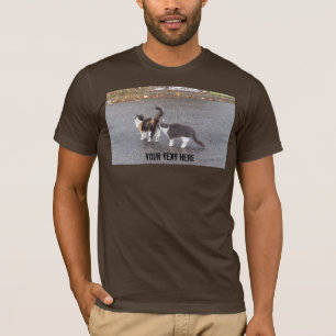 Unverschämte Katzen in der Straße T-Shirt