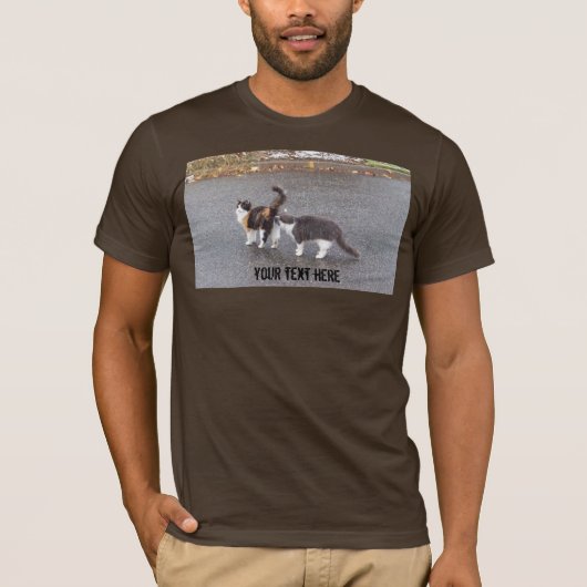 Unverschämte Katzen in der Straße T-Shirt (Vorderseite)