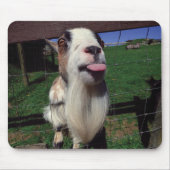 Unverschämte Ziegen-Mäusematte Mousepad (Vorne)