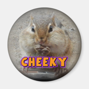 Unverschämter Chipmunk-Magnet Magnet