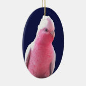 Unverschämter rosa und grauer australischer keramikornament (Rechts)