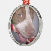 Unverschämtes Pitbull Silbernes Ornament (Links)