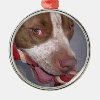 Unverschämtes Pitbull Silbernes Ornament