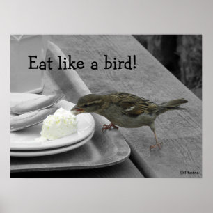Unverschämtes Spatzen-Plakat Poster