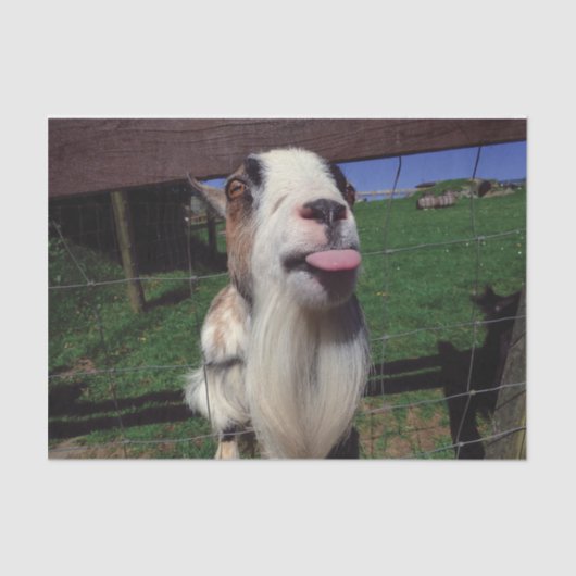 Unverschämtes Ziegen-Seidenpapier Seidenpapier (Vorderseite)