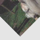 Unverschämtes Ziegen-Seidenpapier Seidenpapier (Ausschnitt)