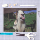 Unverschämtes Ziegen-Seidenpapier Seidenpapier (Handwerk)