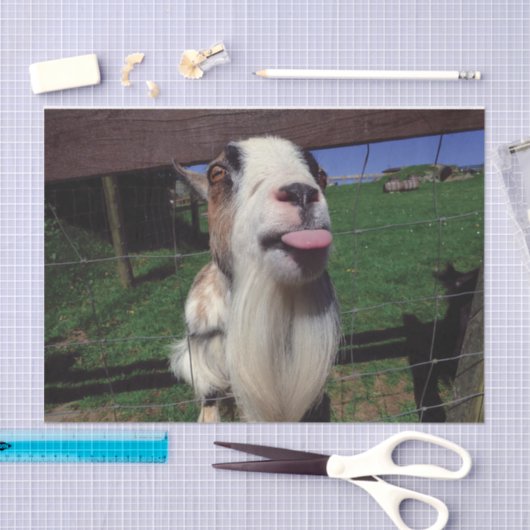 Unverschämtes Ziegen-Seidenpapier Seidenpapier (Handwerk)